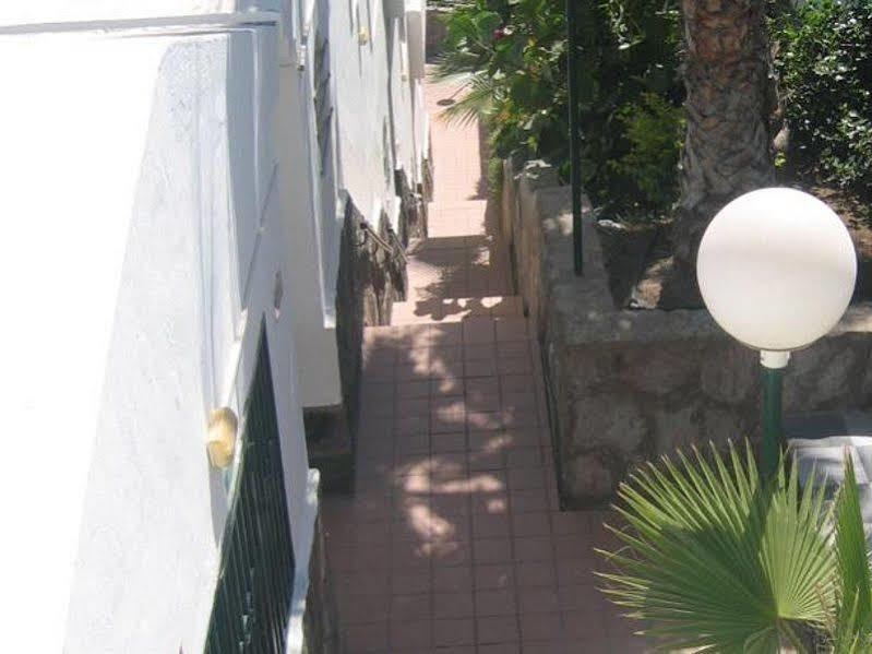 Apartamentos Laguna Puerto Rico  Buitenkant foto